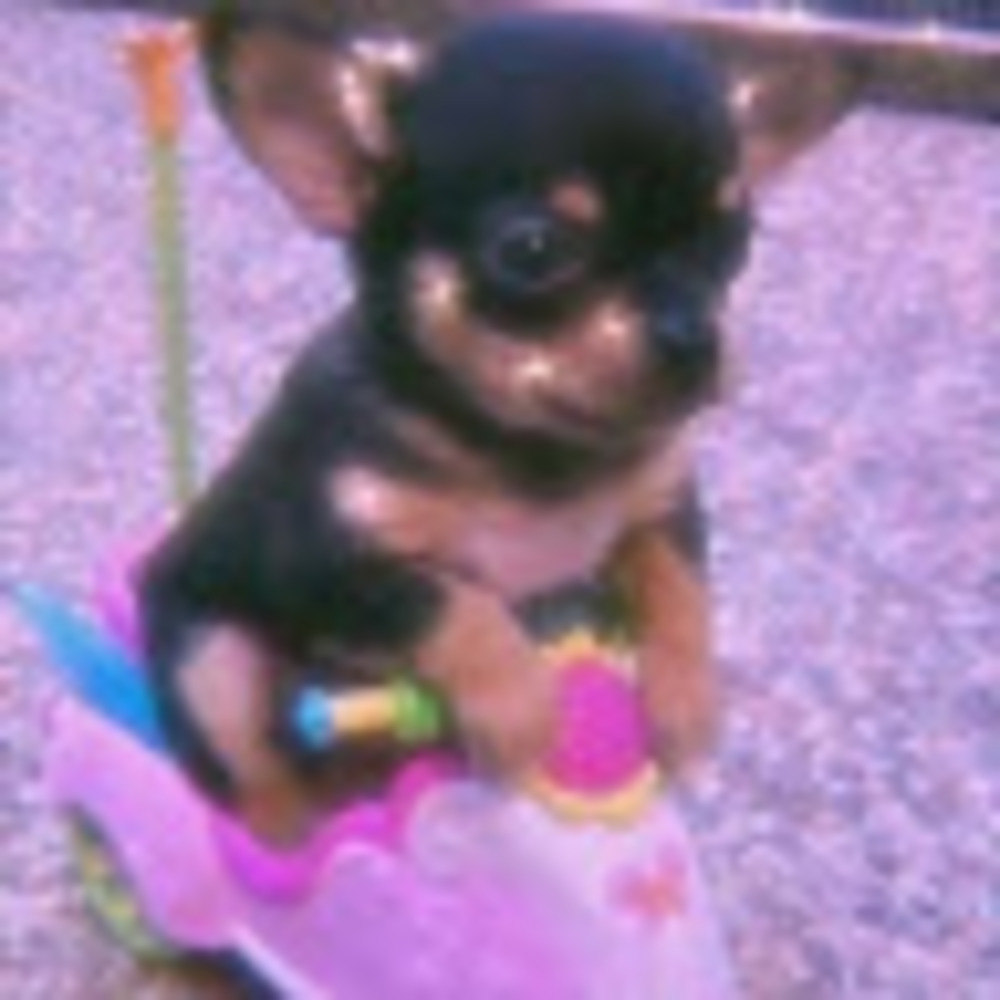 Meet your Posher, Ruby